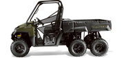 RANGER® 6x6 800 Sage Green Thumb