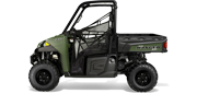 RANGER XP® 900 Sage Green Thumb