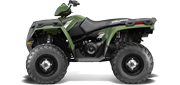Sportsman® 570 H.O. Sage Green