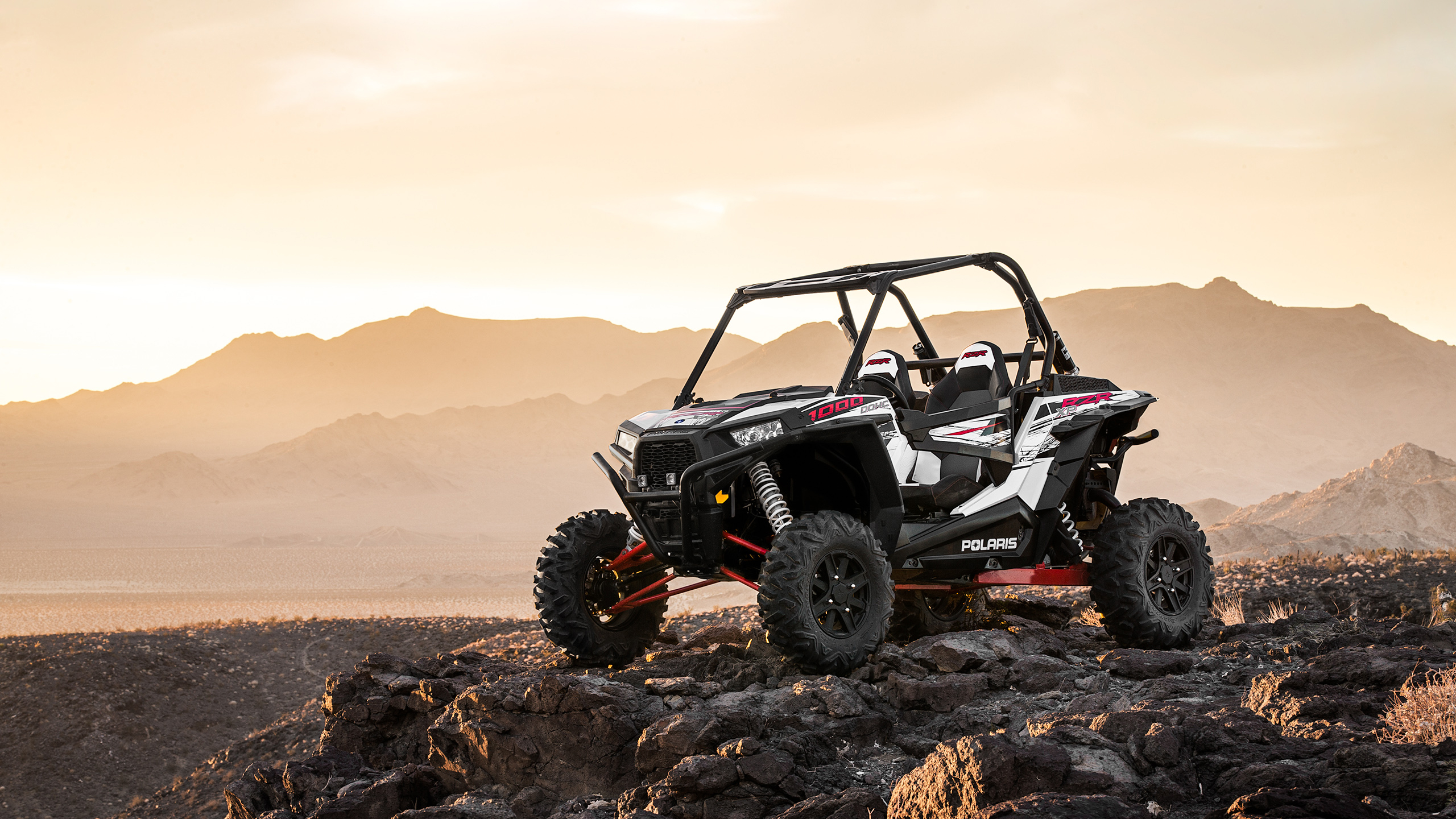 Polaris RZR 1000